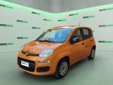 Fiat Panda 1.2 Easy 69CV - EURO6 - OTTIME CONDIZ - Behindertengerechte Fiat Panda