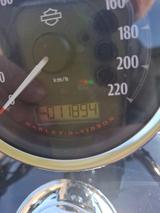 Harley-Davidson Sportster XL 1200C Custom - HARLEY-DAVIDSON SPORTSTER 1200 XL CUSTOM