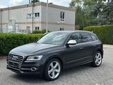 Audi SQ5 3.0 TDI competition  quattro Standheiz... - Audi quattro mit Diesel-Antrieb