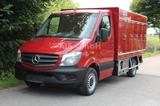 Mercedes-Benz Sprinter 310 Cold Car 5+5 Türen -33°C ATP 2/28 - Mercedes-Benz Diesel Koffer Sprinter 310