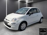 Fiat 500 Cult - Fiat 500: Cult