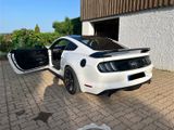 Ford Mustang 5.0 Ti-VCT V8 GT  - Ford in Villingen-Schwenningen