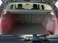 BMW X1 - Vorschau Bild 13