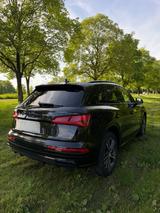 Audi Q5 50 TDI tiptronic quattro design design - Audi Q5 design mit Diesel-Antrieb