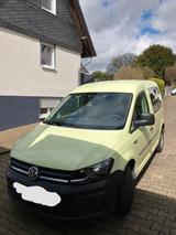 Volkswagen Caddy 2,0TDI 55kW 5-Sitzer Camping - Volkswagen: Kleinbus, Camping