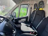 Peugeot Boxer Kasten Hochraum Kühltranspoerter - Peugeot Boxer in Bochum