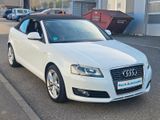 Audi A3 Cabriolet S line Sportpaket / plus 2.Hand Top - Audi: Weiß, Cabrio