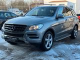 Mercedes-Benz ML 250 CDI BlueTec 4MATIC Voll Ausstattung AHK - silberne Mercedes-Benz ML 250
