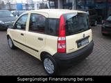 Fiat Panda 1.1 8V Active,SERVO,GARANTIE,1-HAND - Fiat Panda Active mit Benzin-Antrieb