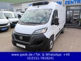 Fiat Ducato 35 L2 Kühlwagen Carrier Xario 350-05 -20° - Fiat Ducato 3 0
