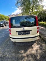 Fiat Panda 1.1 Benzin 54PS - EZ 2009 - Fiat Panda in Hagen