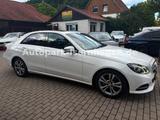 Mercedes-Benz E 220 CDI AVANTGARDE*FL*Leder*4xSHZ*S-Dach*Xenon - Mercedes-Benz E 220: Cdi Avantgarde