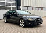 Audi A5 3.0 Tdi Quattro Sportback S5 Heck ... - Audi A5 aus 2009: Sportback