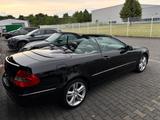Mercedes-Benz CLK-200 Kompressor  Cabrio Aut/Navi/Leder/1-Hand - Mercedes-Benz: Clk