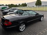 Mercedes-Benz CLK-200 Kompressor  Cabrio Aut/Navi/Leder/1-Hand - Mercedes-Benz aus 2006: Clk