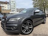Audi SQ5 3.0TDI QUATTRO*SPORT*PANO/NAVI/R-CAM/SHZ/ACC - Audi SQ5 Gebrauchtwagen in Köln