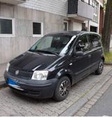 Fiat Panda - Fiat Panda Gebrauchtwagen in Aachen