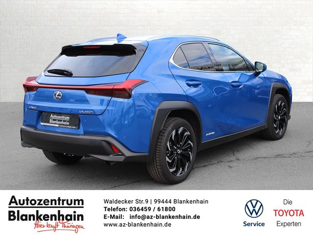 UX 250h LED*ACC*SHZ*Apple CarPlay