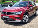 Volkswagen Tiguan*4Motion*Automatik*Zahnriemen*Service NEU! - : Geländewagen, Service