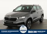 Skoda Karoq 1.5 TSI DSG Selection, AHK, Kamera, Winter - Skoda Karoq Tageszulassungen