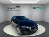 Skoda Octavia Combi Selection DSG LED Sperrdiff. Apple - Skoda Octavia Selection mit Diesel-Antrieb