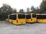 Mercedes-Benz O 530  GN Citaro EEV - Mercedes-Benz Diesel Gelenkbus Citaro g