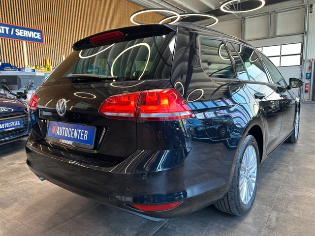 MYAUTOCENTER – Gebraucht- und Jahreswagen mit Werkstattservice in Pfaffenhofen Volkswagen Golf VII Variant Cup *TEMPO*NAVI*PDC*2-ZONEN*