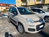 Fiat Panda 0.9 TwinAir Turbo Natural Power Easy - Fiat Panda mit CNG-Antrieb