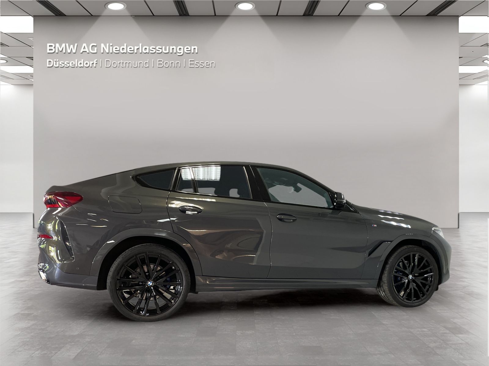 BMW X6 xDrive40i M Sport Driv.Assist.Prof Head-Up foto 4