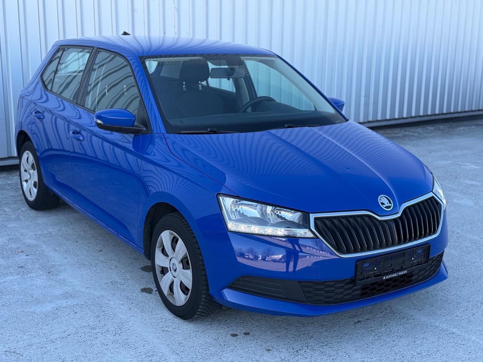 Skoda Fabia Cool Plus Klima/DAB/TüvNeu