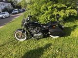 Harley-Davidson XL Sportster C - HARLEY-DAVIDSON SPORTSTER XL