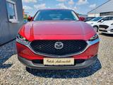 Mazda CX-30 Selection 2WD.LEDER.BOSE.NAVI.1-HAND.LED. - Mazda CX-30 Gebrauchtwagen