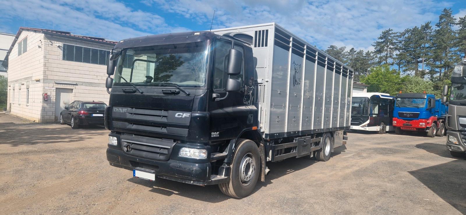 DAF 75 CF 360 VIEHFAHRZEUG Eu 5