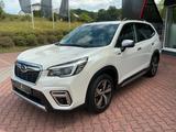 Subaru Forester Platinum 2.0//ALLRAD//AUTOMATIK//HARMAN - Subaru Forester Platinum mit Benzin-Antrieb