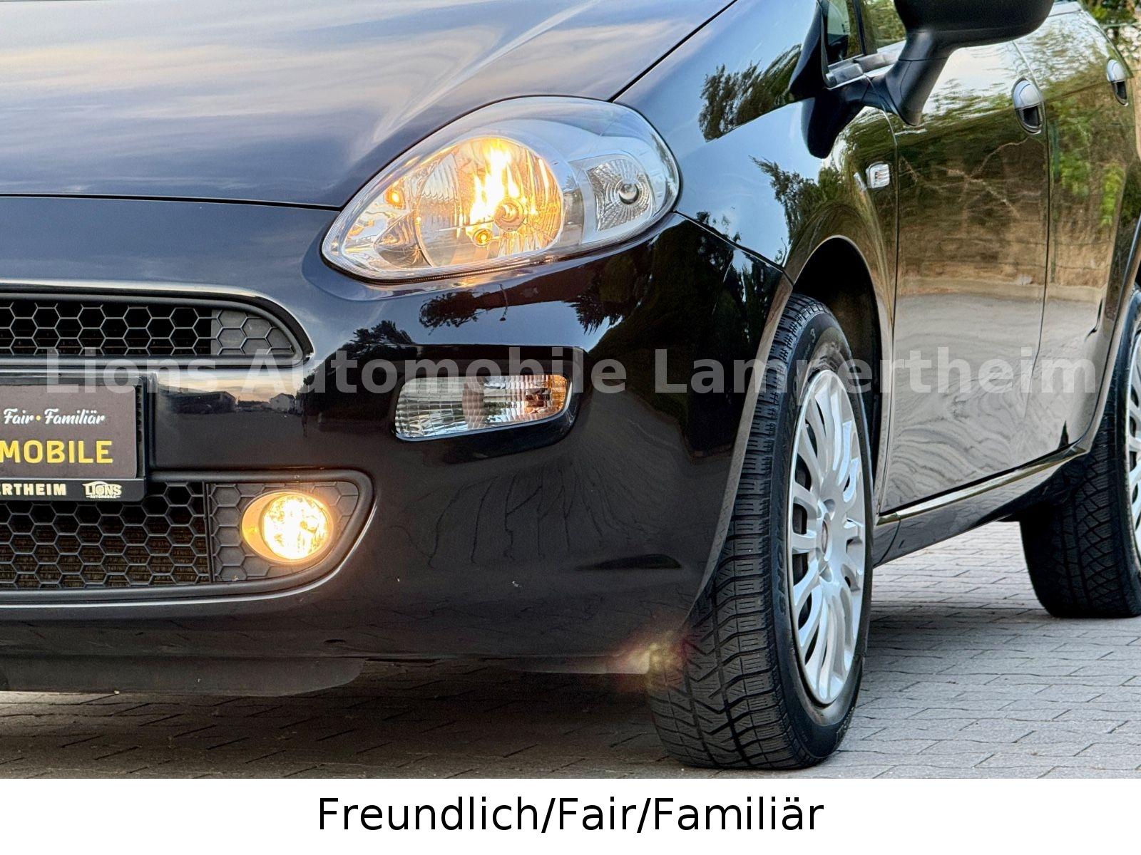 Fiat Punto Basis/NAVI/PDC/KLIMA/MULTIFUNKTION/CITY/