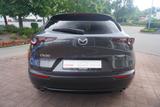 Mazda CX-30 2.0 M-Hybrid 2WD LED Navi ACC 360° Head-Up - Mazda CX-30 Gebrauchtwagen in Dresden