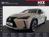 Lexus UX 250h 2.0 Hybrid Style Edition Velours - Lexus UX aus 2022