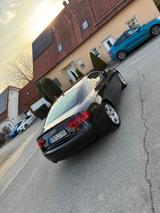 Audi A5 2.0 TFSI S tronic quattro  - Audi A5 mit Benzin-Antrieb: Sportwagen, 2.0