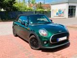 MINI Cooper Cabrio Cooper - MINI Cooper Cabrio: Kleinwagen