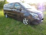 Mercedes-Benz V 250 d Aut. kompakt AVANTGARDE, Pano, AHK, SHZ - gebrauchte Mercedes-Benz V 250 aus dem Jahr 2019