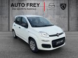 Fiat Panda 1.2 Mystyle KLIMA - Fiat in Augsburg