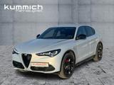 Alfa Romeo Stelvio VELOCE 2.2 210 PS/21" - Alfa Romeo Stelvio Tageszulassungen
