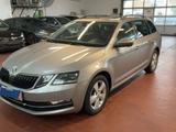 Skoda Octavia Combi Style DSG Panorama LED - : Beige, Panorama-Dach, Kombi