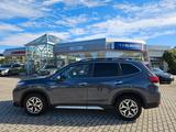 Subaru Forester 2,0 Comfort - Subaru aus 2022