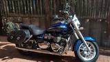 Triumph America LT 986 MK2 - TRIUMPH AMERICA