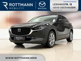 Mazda CX-30 Aut. Selection LEDER-S/PREMIUM-P/DESIGN-P - Mazda CX-30 in Duisburg