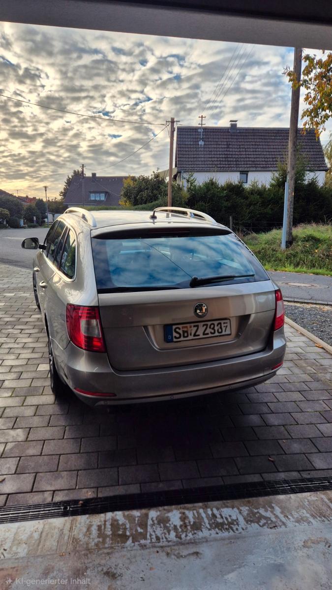 Skoda Superb 2010 — вигляд ззаду