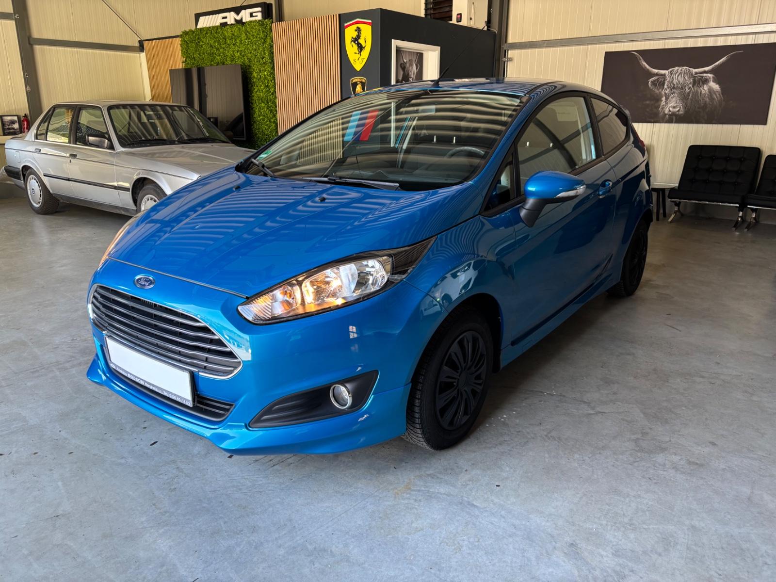 Ford Fiesta 1.0 EcoBoost Trend*KLIMA,WINTERPAKET