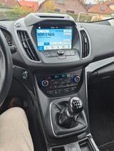 Ford Kuga 1,5 EcoBoost 4x2 110kW Titanium   - Ford Kuga von privat