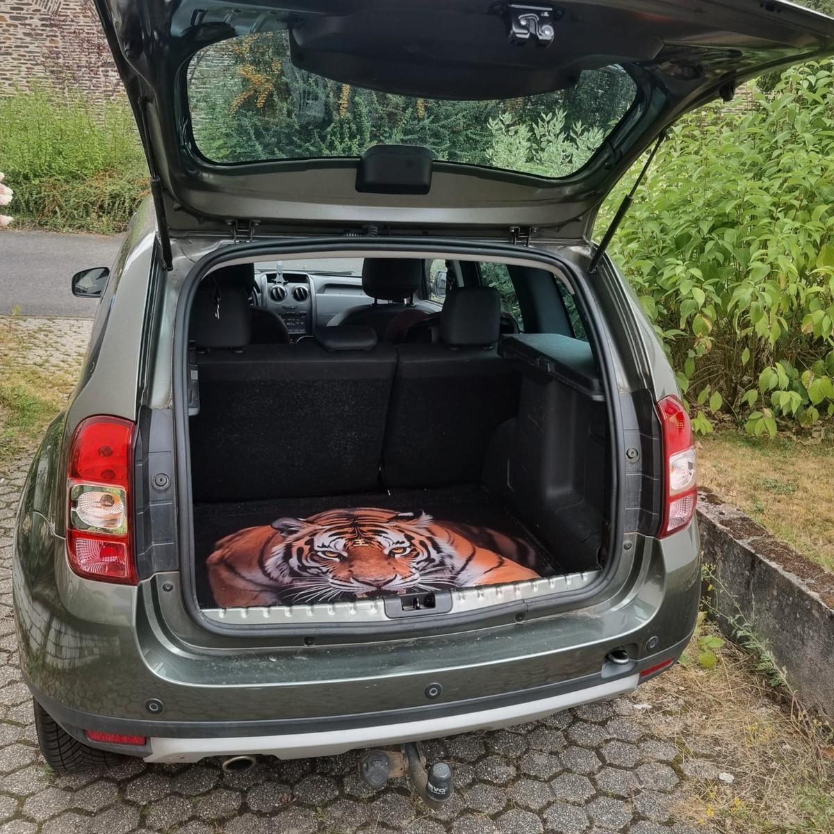 Dacia Duster 2015 — interior